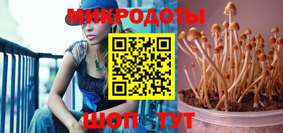Галлюциногенные грибы GOLDEN TEACHER Вязники