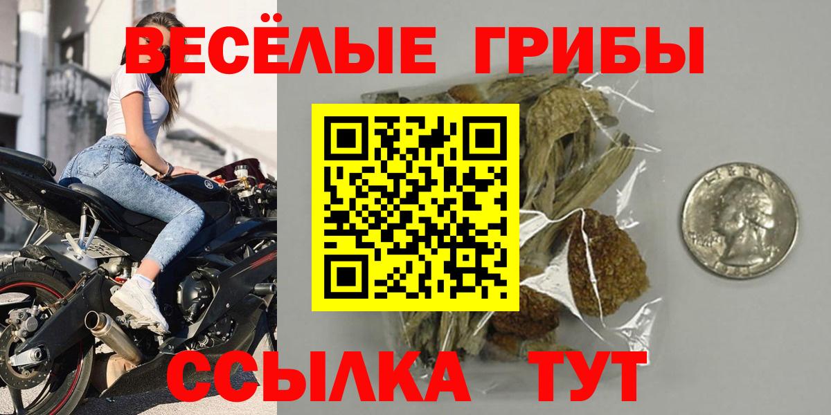 Вязники  Галлюциногенные грибы ЛСД  Галлюциногенные грибы Magic Shrooms  Вход с VPN 